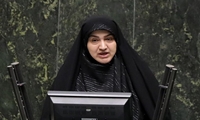 کمیسیون کشاورزی مجلس موافقت خود را با نوری‌ قزلجه، وزیر پیشنهادی کشاورزی اعلام کرد.