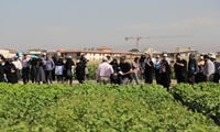 در آستانه هفته دولت و به مناسبت پنجاهمین سال تاسیس سازمان تحقیقات، آموزش و ترویج کشاورزی بیش از ۲۰ نمونه تولیدات فناورانه بذور اصلاح شده زراعی محققان وزارت جهادکشاورزی، رسماً به بهره‌برداران معرفی شد.