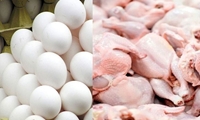 تولیدات پروتئینی کیفی است/ تولید مازاد تخم‌مرغ و گوشت مرغ در کشور