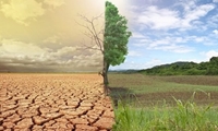 مانع زایش بیابان شویم 