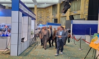 «رویداد ملی شهید جمهور؛ روایت‌گر پیشرفت»