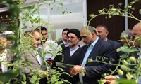 بازدید وزیر جهادکشاورزی در جریان سفر هیئت دولت به استان قم از طرح بهره‌برداری  گلخانه‌ هیدروپونیک جعفرآباد