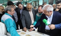 فناوری استحصال انواع برنج با ارزش غذایی متنوع