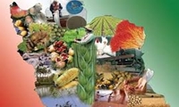 اتخاذ تمهیدات لازم برای تأمین امنیت غذایی کشور ضروری است