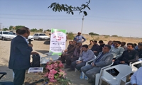 روز مزرعه استانی کنجد در جنوب کرمان برگزار شد