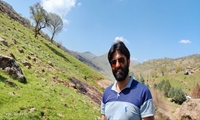 آرزوهایی که در آتش سوخت