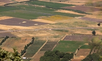 زمین‌های کشاورزی کوچک، تهدیدی برای آینده تولید است/ تدارک بسته‌های حمایتی برای یکپارچه‌سازی اراضی