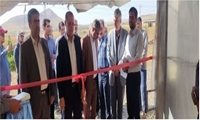 افتتاح گلخانه سبزی و صیفی در روستای کوسه‌لر ایجرود به مناسبت هفته دولت