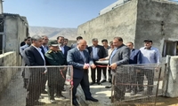 افتتاح طرح پرواربندی  ۲۰۰ راسی بره در رومشگان به مناسبت هفته دولت