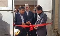 نگین سبز تهران درخشان‌تر شد/افتتاح گلخانه مدرن در پاکدشت همزمان با هفته دولت