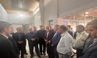 افتتاح دو مرغداری با ایجاد اشتغال ۱۲۶ نفر در کردستان