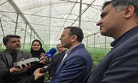 تولید سالانه ۱۲۷ میلیون تن محصولات کشاورزی و دامی در کشور 