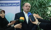 فعالیت‌های کشاورزی با توجیه اقتصادی تسهیلات دریافت می‌کنند/ تقویت تشکل‌های زنان روستایی و عشایر برای رونق کسب و کار