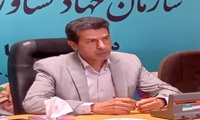 103 پروژه کشاورزی استان کرمان در هفته جهاد کشاورزی افتتاح می‌شود