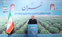۵ درصد از تولیدات کشاورزی کشور در استان تهران تولید می‌شود