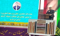 راه‌اندازی پایانه صادرات حبوبات و خشکبار در آذرشهر