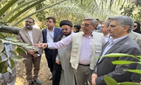 دیدار ریاست سازمان جهاد کشاورزی جنوب کرمان، مسئول حوزه نمایندگی ولی فقیه و هیأت همراه با  مدیر و‌ همکاران مدیریت جهاد کشاورزی شهرستان عنبرآباد