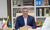 ۲۵ بهره‌بردار برتر جنوب کرمان به مرحله کشوری انتخاب نمونه‌های بخش کشاورزی راه یافتند.