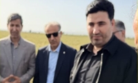 تمهیدات بیمه‌ای برای جبران خسارات بخش کشاورزی در نظر گرفته می‌شود