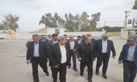  هم‌افزایی تشکل‌های دام و شبکه تعاون روستایی با ایجاد کارخانه خوراک دام در استان فارس