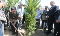 افلاطونی: پویش سرو ایران نماد ایستادگی و رویش دوباره ملت است 