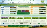 9 اردیبهشت روز مزرعه گیاهان علوفه‌ای گرامی باد