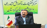 تأمین بذرهای اصلاح‌شده از مزارع تحقیقاتی کردستان/ برداشت بذرهای پرورشی، زنجیره تولید ملی را تقویت کرد