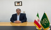 تأمین پایدار گوشت مرغ در خراسان رضوی با جوجه ریزی بیش از ۱۲ میلیون قطعه در ماه گذشته