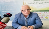  کشت بیش از ۸۴۰ هکتار آنغوزه در خراسان رضوی