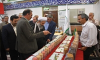 توسعه و تجاری‌سازی ارقام جدید اقدامی راهبُردی برای ارتقای تاب‌آوری تولید و تضمین امنیت غذایی 