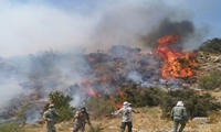 ۱۱۶ هکتار از عرصه‌های ملی استان قزوین در آتش سوخت