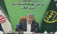 سالانه ۳.۶ میلیون تن محصول کشاورزی در گیلان تولید می‌شود