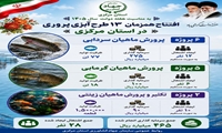 افتتاح همزمان ۱۳ طرح آبزی‌پروری در استان مرکزی با سرمایه‌گذاری ۴۶۵میلیار ریال