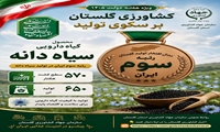 سیاه دانه رتبه سوم تولید در ایران / کشاورزی گلستان بر سکوی تولید