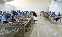 نخستین کارخانه کنسرو ماهی خوزستان کد IR دامپزشکی را دریافت کرد