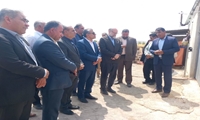 افتتاح واحد پرواربندی ۳۰۰ رأسی بره در آبدانان