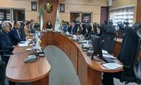 نظام‌مندسازی صادرات کیوی/ از سامانه یکتا برای حفظ و توسعه بازارهای جهانی بهره‌گیری شود