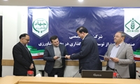 مدیرعامل شرکت مادر تخصصی صندوق حمایت از توسعه سرمایه‌گذاری بخش کشاورزی منصوب شد