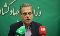 بهره برداری از 180 طرح صنایع تبدیلی و غذایی در دهه فجر