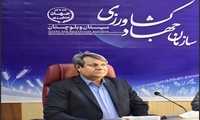 تسهیل تأمین گوشت قرمز کشور از مسیر سیستان و بلوچستان