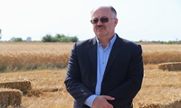 پیش‌بینی تولید بیش از ۱۲۰ هزار تن گندم در مازندران