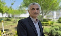 تکمیل زنجیره ارزش، راهبرد اصلی توسعه صنعت نوغانداری