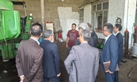 احیای نژاد بومی «زل» و تحول در اصلاح نژاد دام با بهره‌گیری از فناوری‌های نوین