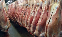 واردات گوشت قرمز از پاکستان ادامه دارد/ صادرات گوشت مرغ مانعی ندارد