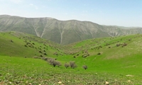 تمام مراتع کشور باید طرح مرتعداری داشته باشند