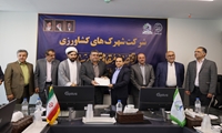 «علی میرزازاده» مدیرعامل شرکت کشت و صنعت و دامپروری مغان شد