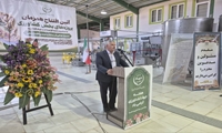 افتتاح پروژه پایلوت فرآوری زیتون در مهریز با سرمایه‌گذاری ۳۵۰۰ میلیارد ریالی