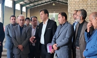 حمایت از تولیدکنندگان بذر، تضمین‌کننده امنیت غذایی کشور است