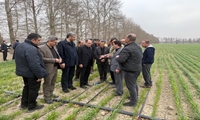 هوشمندسازی مزارع کشاورزی گسترش یابد/ پیشگامی تهران در توسعه مزارع مدرن/ امنیت غذایی عرصه جهاد همیشگی است