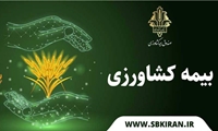 پایان اجرای بیمه فراگیر گندم/ حق بیمه سهم کشاورز توسط دولت پرداخت می‌شود 